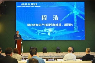 知识产权支持创新与海外知识产权保护新能源企业产业专场活动在汉成功举办